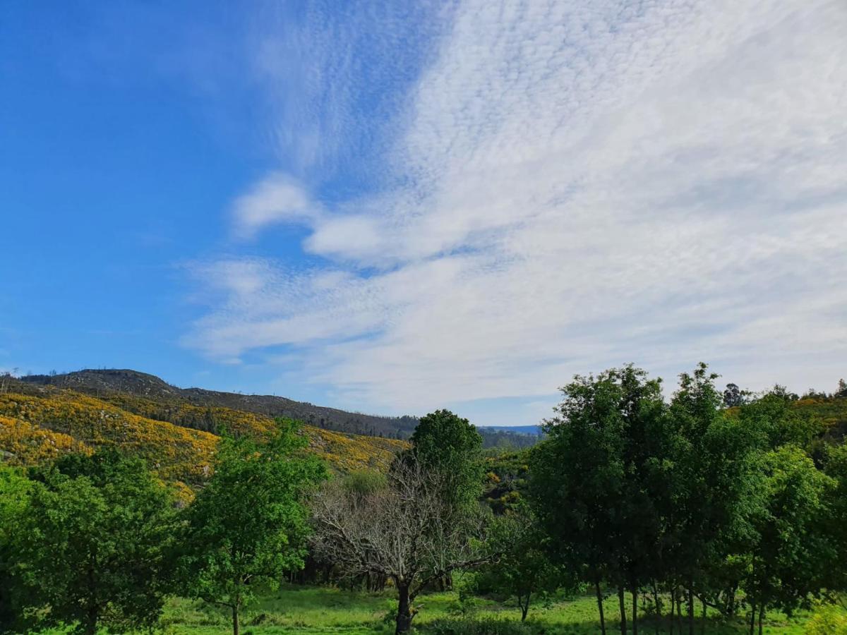 Quinta De Cerdeiro Villa Moes Luaran gambar