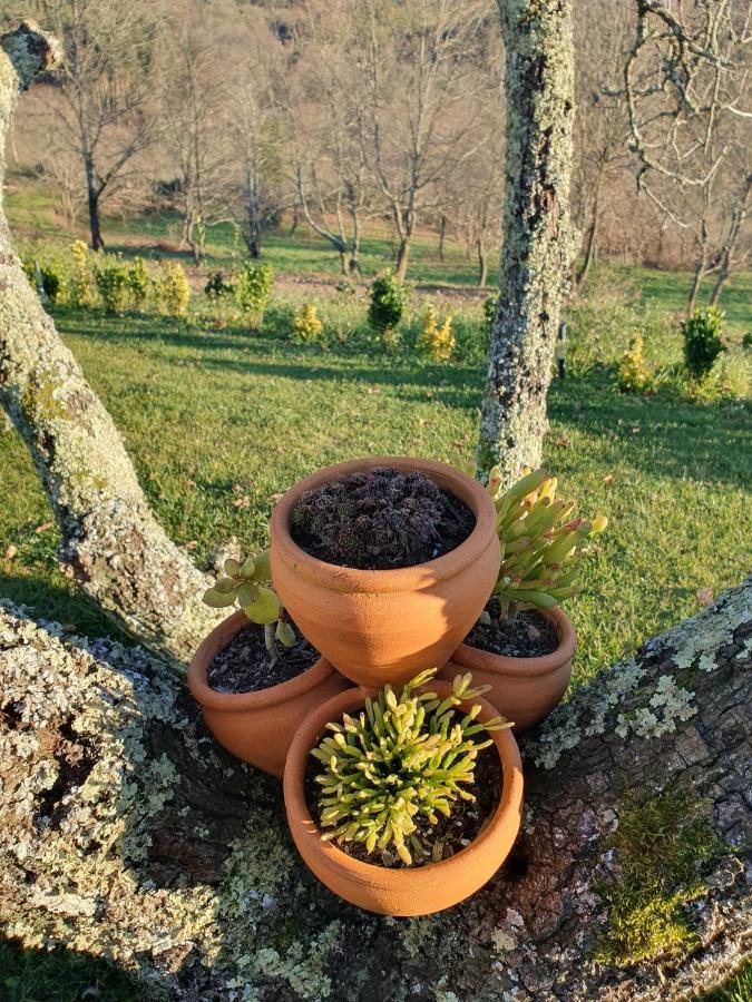Quinta De Cerdeiro Villa Moes Luaran gambar